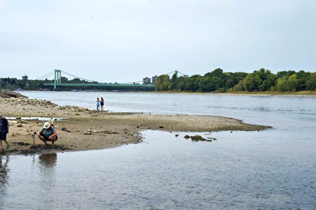 Der Rhein ist in Köln so niedrig wie noch nie. In der Nacht zu Sonntag fiel der Pegel auf nur 45 Zentimeter und damit deutlich unter den bisherigen Tiefststand. Für die Schifffahrt wird das zunehmend zum Problem. Köln, 16.08.2026 *** The Rhine in Cologne is at an all-time low. Overnight into Sunday, the water level dropped to just 45 centimeters, well below the previous record low. This is becoming an increasing problem for shipping. Cologne, August 16, 2026 Foto:xC.xAdolph xFuturexImagex niedrigwasser_6870