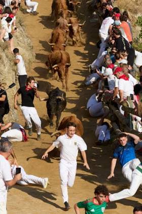 August 17, 2026, Falces, Spain: FALCES, SPAIN, AUGUST 17, 2026: Runners race ahead of fighting bulls along the steep and narrow 800-metre hillside course during the traditional PiloÂ³n bull run in Falces, northern Spain. The event is held as part of the town s annual festivities in honour of the Virgin of Nieva. Falces Spain - ZUMAq101 20260817_zna_q101_034 Copyright: xUnaixBeroizx