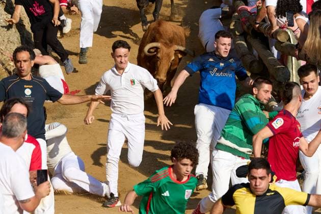 August 17, 2026, Falces, Spain: FALCES, SPAIN, AUGUST 17, 2026: Runners race ahead of fighting bulls along the steep and narrow 800-metre hillside course during the traditional PiloÂ³n bull run in Falces, northern Spain. The event is held as part of the town s annual festivities in honour of the Virgin of Nieva. Falces Spain - ZUMAq101 20260817_zna_q101_035 Copyright: xUnaixBeroizx