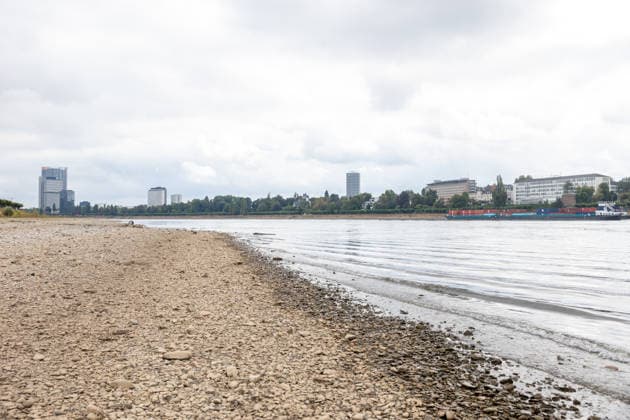 Binnenschiff fährt bei Niedrigwasser auf dem Rhein in Bonn Bonn, 17. August 2026: Ein mit Containern beladenes Binnenschiff fährt bei deutlich niedrigem Wasserstand auf dem Rhein in Bonn. Der Rhein führt derzeit aufgrund anhaltender Trockenheit und geringer Niederschläge außergewöhnlich wenig Wasser. Am Pegel Bonn wurde am 17. August ein Wasserstand von rund 62 bis 64 Zentimetern gemessen. Der für Bonn angegebene Gleichwertige Wasserstand (GlW) liegt bei 142 Zentimetern. Das Niedrigwasser erschwert die Binnenschifffahrt und kann dazu führen, dass Schiffe ihre Ladung reduzieren müssen. Bonn Beuel Nordrhein-Westfalen Deutschland *** Inland waterway vessel navigates the Rhine in Bonn during low water levels Bonn, August 17, 2026 A bar