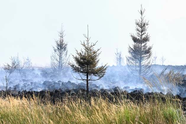 Fire in the Belgian High Fens VOTTEM, BELGIUM - AUGUST 17 : View of the High Fens after an important fire has broken out in the Belgian High Fens on August 17, 2026 in Vottem, Belgium, 17 08 2026 Baelen Belgium  Copyright: xDhax