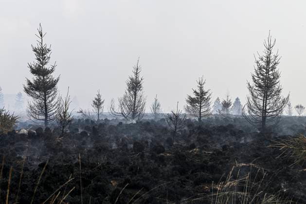 Fire in the Belgian High Fens VOTTEM, BELGIUM - AUGUST 17 : View of the High Fens after an important fire has broken out in the Belgian High Fens on August 17, 2026 in Vottem, Belgium, 17 08 2026 Baelen Belgium  Copyright: xDhax