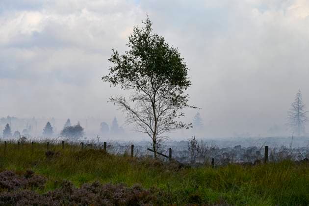 Fire in the Belgian High Fens VOTTEM, BELGIUM - AUGUST 17 : View of the High Fens after an important fire has broken out in the Belgian High Fens on August 17, 2026 in Vottem, Belgium, 17 08 2026 Baelen Belgium  Copyright: xDhax