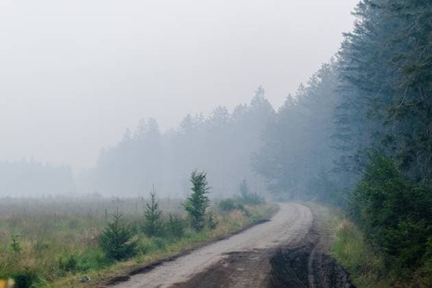 Smoke rises from burned soil, as a fire rages in the Hautes Fagnes (High Fens) nature reserve, on Tuesday 18 August 2026. The fire started on August 14th and 2700 hectares (on a total of 4500) are impacted.  NICOLASxLAMBERT 183633635