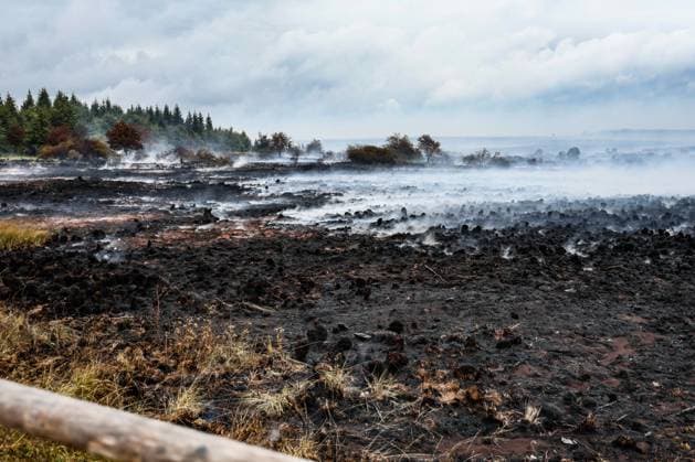 This image shows burnt landscape near the Signal de Botrange on the site of the fire in the Hautes Fagnes (High Fens) nature reserve, on Tuesday 18 August 2026. The fire started on August 14th and 3000 hectares (on a total of 4500) are impacted.  BRUNOxFAHY 183660534