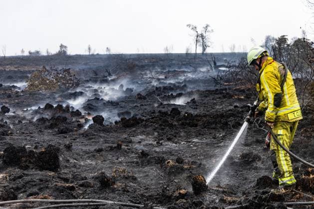 Firemen pictured on the site of the fire in the Hautes Fagnes (High Fens) nature reserve, on Tuesday 18 August 2026. The fire started on August 14th and 3000 hectares (on a total of 4500) are impacted.  BRUNOxFAHY 183661611