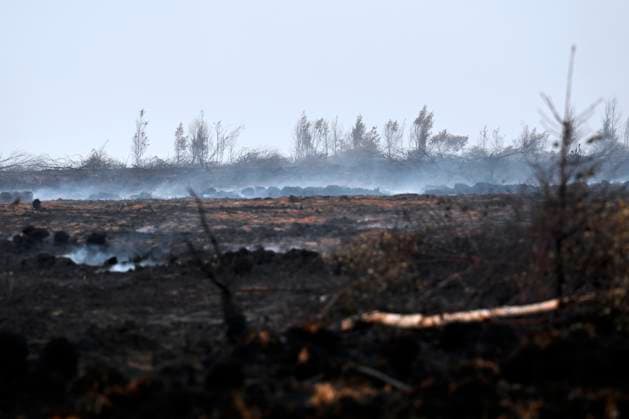 Fire in the Belgian High Fens 18 08 2026 FAGNES, BELGIUM - AUGUST 18 : Fire in the Belgian High Fens «The worst fire in Belgium s history» on August 18, 2026 in Fagnes, Belgium, 18 08 2026 Hautes Fagnes Belgium  Copyright: xDidierxLebrunx