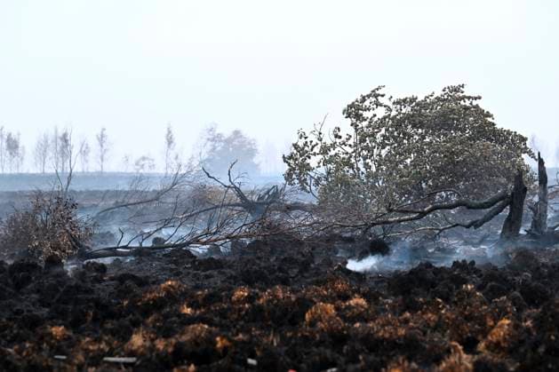 Fire in the Belgian High Fens 18 08 2026 FAGNES, BELGIUM - AUGUST 18 : Fire in the Belgian High Fens «The worst fire in Belgium s history» on August 18, 2026 in Fagnes, Belgium, 18 08 2026 Hautes Fagnes Belgium  Copyright: xDidierxLebrunx