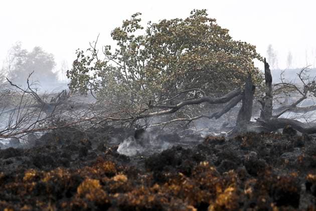 Fire in the Belgian High Fens 18 08 2026 FAGNES, BELGIUM - AUGUST 18 : Fire in the Belgian High Fens «The worst fire in Belgium s history» on August 18, 2026 in Fagnes, Belgium, 18 08 2026 Hautes Fagnes Belgium  Copyright: xDidierxLebrunx