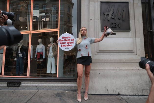 . 18 08 2026. London, United Kingdom. Peta Protest HM. Outside H&M s Regent Street store on Tuesday, a PETA supporter wearing bloodied faux-wool clothing displays a realistic severed sheep head holding a sign reading Here s the Rest of Your Wool Sweater! Wear Vegan! as the animal protection group calls on H&M to end its sale of wool.  xMartynxWheatleyx xi-Imagesx IIM-26951-0006