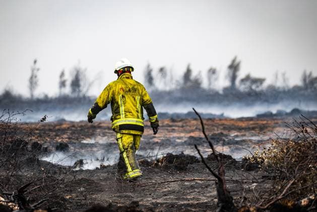 Firemen pictured on the site of the fire in the Hautes Fagnes (High Fens) nature reserve, on Tuesday 18 August 2026. The fire started on August 14th and 3000 hectares (on a total of 4500) are impacted.  BRUNOxFAHY 183665582