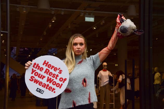 August 18, 2026, London, England, United Kingdom: A PETA activist wearing a faux wool top covered in fake blood holds an artificial severed sheep s head and a placard reading Here s the Rest of Your Wool Sweater outside the H&M store on Regent Street. The action is part of the animal rights group s ongoing campaign calling on H&M to stop selling wool products. London United Kingdom - ZUMAv130 20260818_zip_v130_030 Copyright: xVukxValcicx