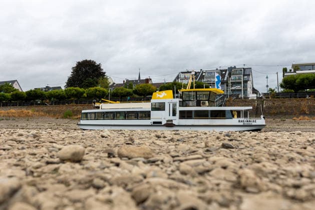 Rheinnixe liegt bei Niedrigwasser in schmaler Fahrrinne Bonn-Beuel, 18. August 2026: Die ehemalige Personenfähre Rheinnixe liegt in einer schmalen Fahrrinne zwischen den weitgehend trockengefallenen Uferbereichen des Rheins in Bonn-Beuel. Das extreme Niedrigwasser lässt großflächig Kies- und Sandflächen am Rheinufer sichtbar werden. Am Pegel Bonn wurden am 18. August Wasserstände um 62 bis 63 Zentimeter gemessen. Die Rheinnixe verkehrte bis 2022 als Personenfähre zwischen Bonn und Beuel. Der Fährbetrieb wurde aufgrund von Niedrigwasser, Problemen am Beueler Anleger und weiteren Gründen eingestellt; das Schiff liegt weiterhin am Beueler Rheinufer. Bonn Beuel Nordrhein-Westfalen Deutschland *** The Rheinnixe lies in a na