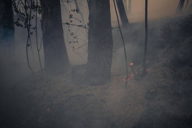 Wildfires in Ponteareas GALICIA, SPAIN - AUGUST 18: A view of wildfires in Ponteareas, Pontevedra, Galicia, Spain on August 18, 2026. Pedro Pascual Garcia Anadolu Galicia Spain. Editorial use only. Please get in touch for any other usage.  Copyright: x2026xAnadoluxPedroxPascualxGarciax