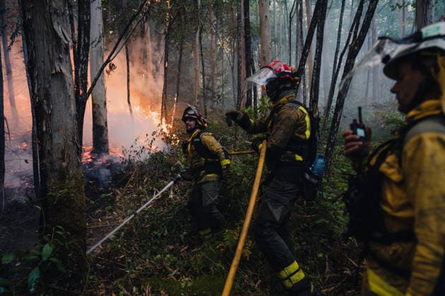 Wildfires in Ponteareas GALICIA, SPAIN - AUGUST 18: Firefighters extinguish wildfires in Ponteareas, Pontevedra, Galicia, Spain on August 18, 2026. Pedro Pascual Garcia Anadolu Galicia Spain. Editorial use only. Please get in touch for any other usage.  Copyright: x2026xAnadoluxPedroxPascualxGarciax