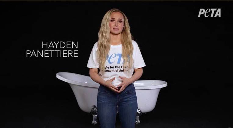 Tragic Hayden Panettiere stars in PETA campaign to save dolphins and whales in captivity that she shot two weeks before her death *BYLINE MUST CREDIT: PETA Mega* Tragic Hayden Panettiere stars in a PETA campaign to save dolphins and whales in captivity that the actress shot just two weeks before her death., , Animal lover and longtime animal rights advocate Hayden posed seemingly naked in a bathtub to speak out against marine parks holding dolphins and whales in captivity., , In the campaign video, an emotional Hayden says: Imagine spending your entire life in a bathtub. That’s what it’s like for dolphins and whales in tiny tanks at marine parks. , , She continues: We can end this, you and me. , , Hayden appears to have tears in her eyes  Copyright: xThexMegaxAgencyxPETA Megax