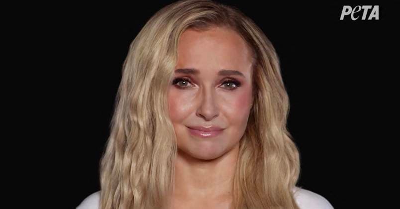 Tragic Hayden Panettiere stars in PETA campaign to save dolphins and whales in captivity that she shot two weeks before her death *BYLINE MUST CREDIT: PETA Mega* Tragic Hayden Panettiere stars in a PETA campaign to save dolphins and whales in captivity that the actress shot just two weeks before her death., , Animal lover and longtime animal rights advocate Hayden posed seemingly naked in a bathtub to speak out against marine parks holding dolphins and whales in captivity., , In the campaign video, an emotional Hayden says: Imagine spending your entire life in a bathtub. That’s what it’s like for dolphins and whales in tiny tanks at marine parks. , , She continues: We can end this, you and me. , , Hayden appears to have tears in her eyes  Copyright: xThexMegaxAgencyxPETA Megax