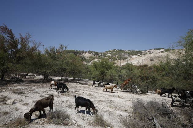 (260819) -- JERUSALEM, Aug. 19, 2026 -- This photo taken on Aug. 19, 2026 shows a view of the E1 area in the West Bank near Jerusalem. Israel on Tuesday advanced plans for the controversial E1 settlement project in the West Bank, publishing a tender for 1,234 housing units. The tender, published online by the Ministry of Construction and Housing, covers part of a wider plan for 3,401 housing units in E1, an area east of Jerusalem. (Photo by Xinhua) MIDEAST-WEST BANK-ISRAELI SETTLEMENT PROJECT JamalxAwad 