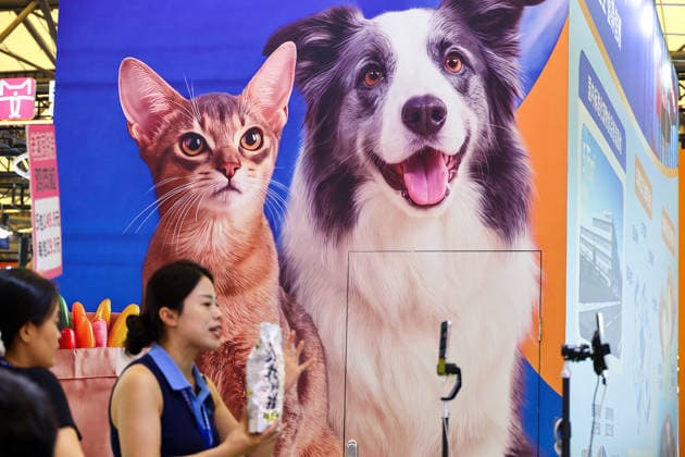 SHANGHAI, CHINA - AUGUST 19: A streamer sells pet food via live streaming during the opening of the 28th Asian Pet Exhibition at Shanghai New International Expo Centre on August 19, 2026 in Shanghai, China. The exhibition has upgraded its Asia-Pacific New Product Debut plan to create a major platform for new product launches in the pet industry, featuring over 100 global debuts covering pet food, household items, smart devices, and grooming medical supplies.  Copyright: xVCGx 111660914112