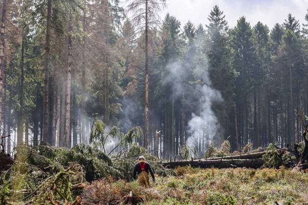 News Bilder des Tages Firefighters continue to work, wetting the soil on the site of the fires in the Hautes Fagnes (High Fens) nature reserve, on Thursday 20 August 2026. The fire started on August 14th and 3000 hectares (on a total of 4500) are impacted.  JULIENxWARNAND 183821998