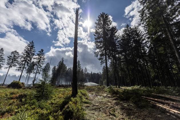 Firefighters continue to work, wetting the soil on the site of the fires in the Hautes Fagnes (High Fens) nature reserve, on Thursday 20 August 2026. The fire started on August 14th and 3000 hectares (on a total of 4500) are impacted.  JULIENxWARNAND 183822007