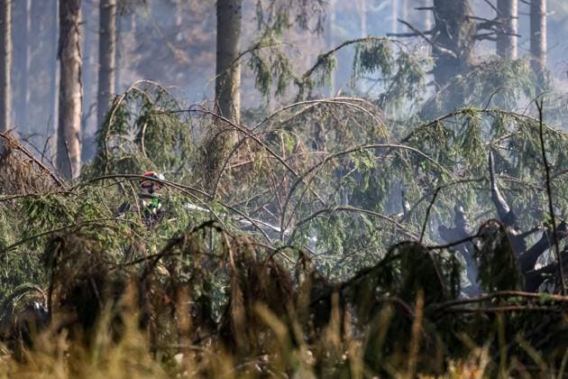 Firefighters continue to work, wetting the soil on the site of the fires in the Hautes Fagnes (High Fens) nature reserve, on Thursday 20 August 2026. The fire started on August 14th and 3000 hectares (on a total of 4500) are impacted.  JULIENxWARNAND 183822661