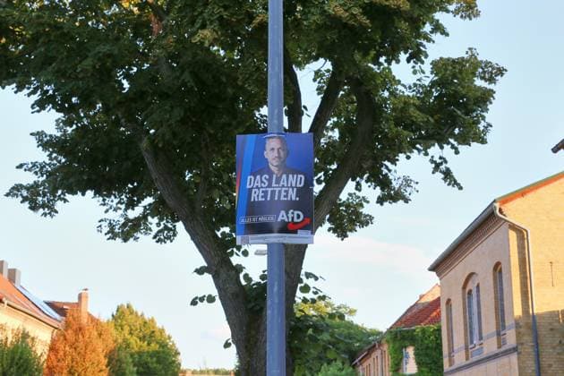 Bitterfeld-Wolfen, Sachsen-Anhalt, Deutschland, 20.08.2026: Wahlplakate für die Landtagswahl 2026 mit Ulrich Siegmund (AfD) *** Bitterfeld-Wolfen, Saxony-Anhalt, Germany, August 20, 2026: Campaign posters for the 2026 state election featuring Ulrich Siegmund of the AfD Copyright: xdtsxNachrichtenagenturx dts_130660