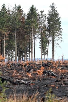 Fire in the Belgian High Fens 21 08 2026 HAUTES FAGNES, BELGIUM - AUGUST 21 : Fire in the Belgian High Fens «The worst fire in Belgium s history» (Signal de Botrange) on August 21, 2026 in Hautes Fagnes, Belgium, 21 08 2026 Hautes Fagnes Belgium  Copyright: xDidierxLebrunx