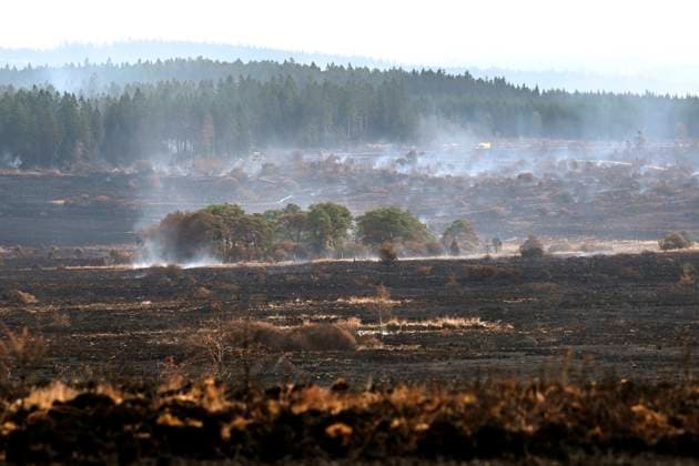 Fire in the Belgian High Fens 21 08 2026 HAUTES FAGNES, BELGIUM - AUGUST 21 : Fire in the Belgian High Fens «The worst fire in Belgium s history» (Signal de Botrange) on August 21, 2026 in Hautes Fagnes, Belgium, 21 08 2026 Hautes Fagnes Belgium  Copyright: xDidierxLebrunx