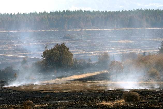 Fire in the Belgian High Fens 21 08 2026 HAUTES FAGNES, BELGIUM - AUGUST 21 : Fire in the Belgian High Fens «The worst fire in Belgium s history» (Signal de Botrange) on August 21, 2026 in Hautes Fagnes, Belgium, 21 08 2026 Hautes Fagnes Belgium  Copyright: xDidierxLebrunx