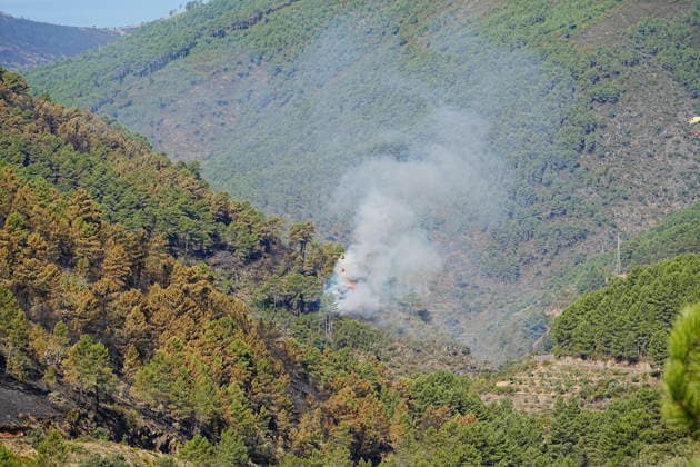 Encouraging developments in the Pinofranqueado, Cáceres, wildfire allow all evacuees to return home. A column of smoke rises from the forest on August 21, 2026, in Nunomoral, Cáceres, Extremadura, Spain. All residents evacuated due to the Pinofranqueado fire, which broke out last Tuesday, August 18, can now return to their homes after a night of work that has kept the fire under control, and the fire is expected to be stabilized sometime today, August 21, 2026. FOREST FIRE NATURAL DISASTER EVACUEES LAS HURDES Nunomoral, Cáceres, Extremadura Nunomoral, Cáceres, Extremadura, Spain  Copyright: xCarlosxCriadox 7723767