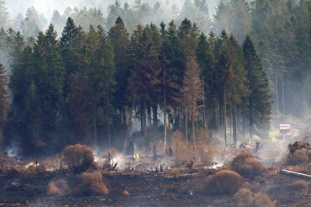 Fire in the Belgian High Fens 21 08 2026 HAUTES FAGNES, BELGIUM - AUGUST 21 : Fire in the Belgian High Fens «The worst fire in Belgium s history» (Signal de Botrange) on August 21, 2026 in Hautes Fagnes, Belgium, 21 08 2026 Hautes Fagnes Belgium  Copyright: xDidierxLebrunx