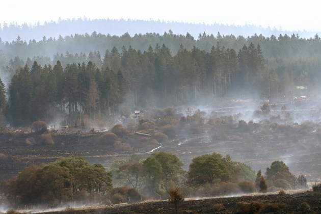 Fire in the Belgian High Fens 21 08 2026 HAUTES FAGNES, BELGIUM - AUGUST 21 : Fire in the Belgian High Fens «The worst fire in Belgium s history» (Signal de Botrange) on August 21, 2026 in Hautes Fagnes, Belgium, 21 08 2026 Hautes Fagnes Belgium  Copyright: xDidierxLebrunx