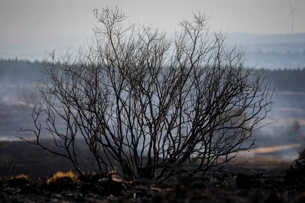 Picture taken on the site of the fires in the Hautes Fagnes (High Fens) nature reserve, on Friday 21 August 2026. The fire started on August 14th and 3000 hectares (on a total of 4500) are impacted.  JULIENxWARNAND 183892321
