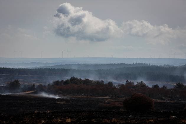 Picture taken on the site of the fires in the Hautes Fagnes (High Fens) nature reserve, on Friday 21 August 2026. The fire started on August 14th and 3000 hectares (on a total of 4500) are impacted.  JULIENxWARNAND 183892323
