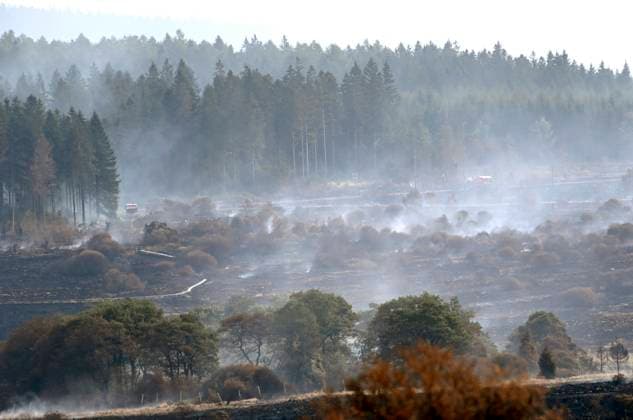 Fire in the Belgian High Fens 21 08 2026 HAUTES FAGNES, BELGIUM - AUGUST 21 : Fire in the Belgian High Fens «The worst fire in Belgium s history» (Signal de Botrange) on August 21, 2026 in Hautes Fagnes, Belgium, 21 08 2026 Hautes Fagnes Belgium  Copyright: xDidierxLebrunx