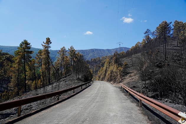 The positive outlook for the fire in Pinofranqueado, Cáceres, allows all evacuees to return home. View of the landscape after the fire passed through, on August 21, 2026, in Nunomoral, Cáceres, Extremadura, Spain. All residents evacuated due to the Pinofranqueado wildfire, which broke out last Tuesday, August 18, can now return to their homes after a night of work that has kept the fire under control, and which is expected to be deemed stabilized sometime today, August 21, 2026. FOREST FIRE NATURAL DISASTER EVACUEES LAS HURDES CIVIL GUARD Nunomoral, Cáceres, Extremadura. Nunomoral, Cáceres, Extremadura, Spain  Copyright: xCarlosxCriadox 7724007