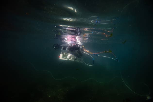 TEKNOFEST Blue Homeland KOCAELI, TURKIYE - AUGUST 21: An unmanned underwater vehicle operates in a test pool during the Unmanned Underwater Systems Competition held as part of TEKNOFEST Blue Homeland at the Golcuk Naval Shipyard Command in Kocaeli, Turkiye, on August 21, 2026. Organized under the main leadership of the Turkish National Defense Ministry and the Turkish Technology Team Foundation (T3 Foundation), with Anadolu as the Global Communication Partner, the event showcases Turkiye s maritime power, defense capabilities and indigenous technologies. Sebnem Coskun Anadolu Kocaeli Turkey. Editorial use only. Please get in touch for any other usage.  Copyright: x2026xAnadoluxSebnemxCoskunx
