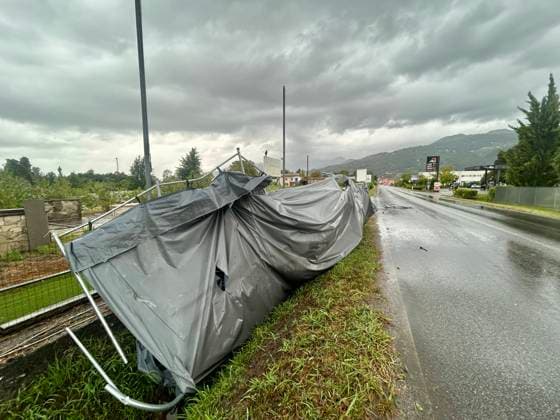 RECORD DATE NOT STATED IPA87664845 - Marina di Pietrasanta: Damage Caused by Severe Weather in Versilia—Rain, Thunderstorms, and Wind Cause Disruption and Damage to Beach Resorts and Tourists; Fallen Trees  Copyright: xx xx 87664845.jpeg