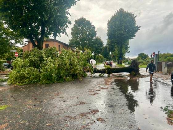 RECORD DATE NOT STATED IPA87664851 - Pietrasanta: Damage Caused by Severe Weather in Versilia—Rain, Thunderstorms, and Wind Cause Disruption and Damage to Beach Resorts and Tourists; Fallen Trees  Copyright: xx xx 87664851.jpeg