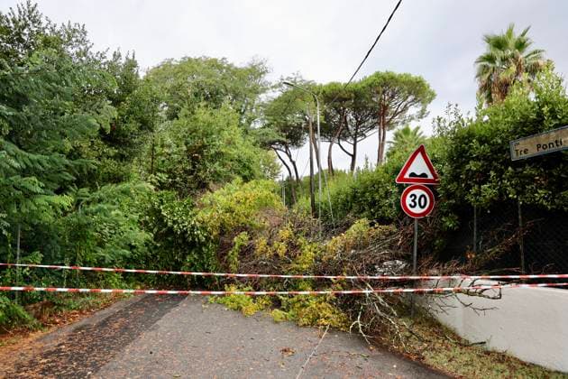 RECORD DATE NOT STATED IPA87664880 - Pietrasanta: Damage Caused by Severe Weather in Versilia—Rain, Thunderstorms, and Wind Cause Disruption and Damage to Beach Resorts and Tourists; Fallen Trees  Copyright: xx xx 87664880.jpeg