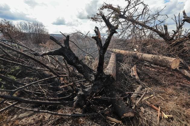 A guided visit is organized to the firefighters still active on the site of the fires in the Hautes Fagnes (High Fens) nature reserve, on Friday 21 August 2026. The fire started on August 14th and 3000 hectares (on a total of 4500) are impacted.  JULIENxWARNAND 183919905