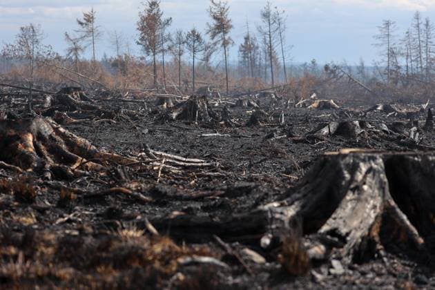 A guided visit is organized to the firefighters still active on the site of the fires in the Hautes Fagnes (High Fens) nature reserve, on Friday 21 August 2026. The fire started on August 14th and 3000 hectares (on a total of 4500) are impacted.  JULIENxWARNAND 183919910