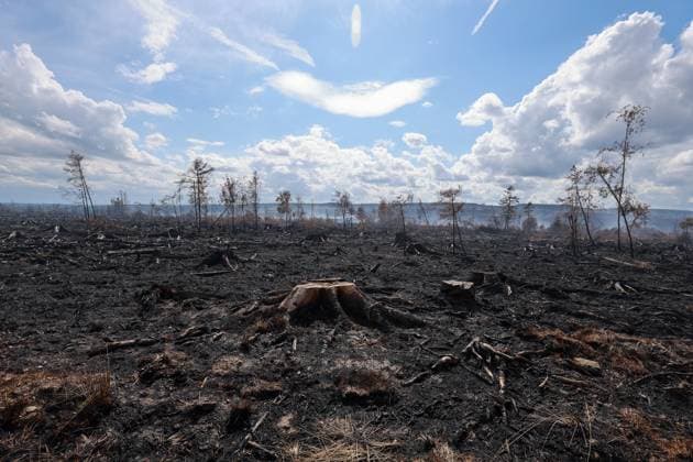 A guided visit is organized to the firefighters still active on the site of the fires in the Hautes Fagnes (High Fens) nature reserve, on Friday 21 August 2026. The fire started on August 14th and 3000 hectares (on a total of 4500) are impacted.  JULIENxWARNAND 183919913