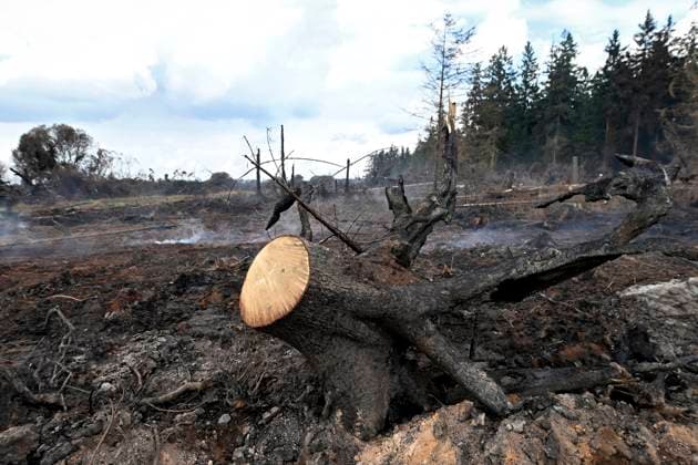 Fire in the Belgian High Fens 21 08 2026 HAUTES FAGNES, BELGIUM - AUGUST 21 : Fire in the Belgian High Fens «The worst fire in Belgium s history» (Signal de Botrange) & visites encadrées par les services d intervention on August 21, 2026 in Hautes Fagnes, Belgium, 21 08 2026 Hautes Fagnes Belgium  Copyright: xDidierxLebrunx