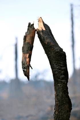 Fire in the Belgian High Fens 21 08 2026 HAUTES FAGNES, BELGIUM - AUGUST 21 : Fire in the Belgian High Fens «The worst fire in Belgium s history» (Signal de Botrange) & visites encadrées par les services d intervention on August 21, 2026 in Hautes Fagnes, Belgium, 21 08 2026 Hautes Fagnes Belgium  Copyright: xDidierxLebrunx