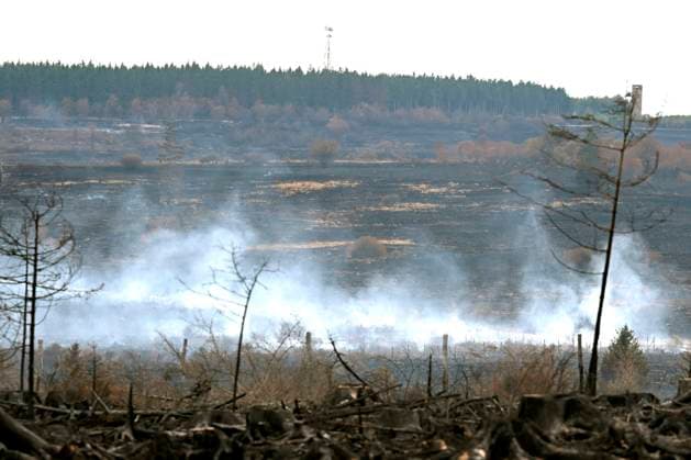Fire in the Belgian High Fens 21 08 2026 HAUTES FAGNES, BELGIUM - AUGUST 21 : Fire in the Belgian High Fens «The worst fire in Belgium s history» (Signal de Botrange) & visites encadrées par les services d intervention on August 21, 2026 in Hautes Fagnes, Belgium, 21 08 2026 Hautes Fagnes Belgium  Copyright: xDidierxLebrunx
