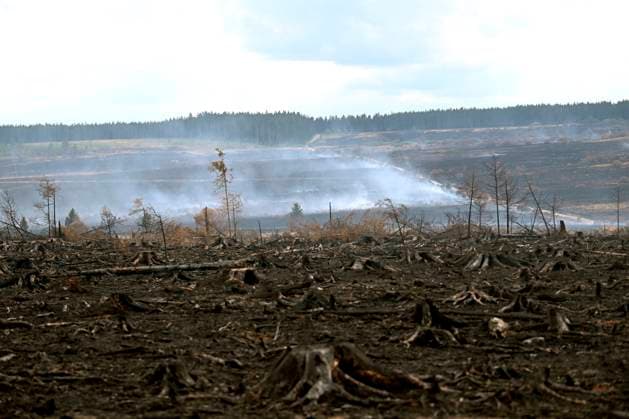 Fire in the Belgian High Fens 21 08 2026 HAUTES FAGNES, BELGIUM - AUGUST 21 : Fire in the Belgian High Fens «The worst fire in Belgium s history» (Signal de Botrange) & visites encadrées par les services d intervention on August 21, 2026 in Hautes Fagnes, Belgium, 21 08 2026 Hautes Fagnes Belgium  Copyright: xDidierxLebrunx