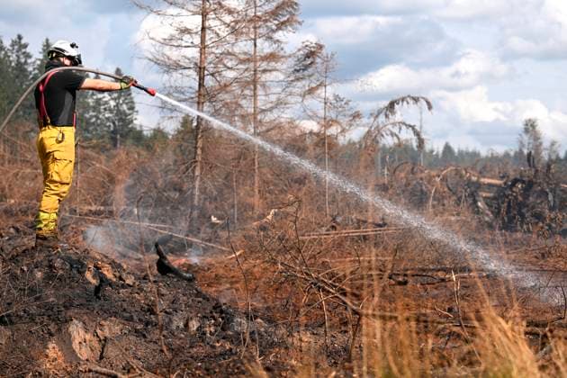 Fire in the Belgian High Fens 21 08 2026 HAUTES FAGNES, BELGIUM - AUGUST 21 : Fire in the Belgian High Fens «The worst fire in Belgium s history» (Signal de Botrange) & visites encadrées par les services d intervention on August 21, 2026 in Hautes Fagnes, Belgium, 21 08 2026 Hautes Fagnes Belgium  Copyright: xDidierxLebrunx