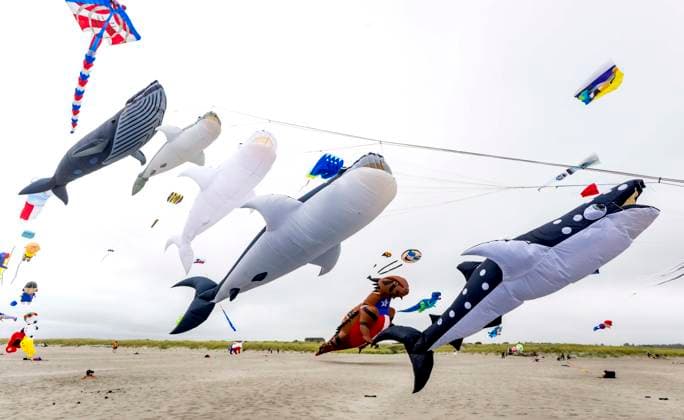 August 21,, 2026 - Long Beach, Washington , USA: The Washington State International Kite Festival is a week-long celebration of kites and kite flying. Held annually during the third full week of August, the prevailing winds off the Pacific Ocean usually provide ample lift for the outsized kites. Long Beach USA  - ZUMAce6_ 20260821_zaf_ce6_007 Copyright: xBrianxCahnx
